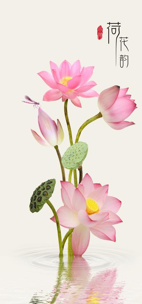 家和富贵清荷墨韵荷花装饰画图片