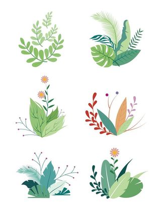 手绘矢量花草插画图片
