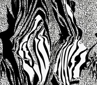 斑马纹图片