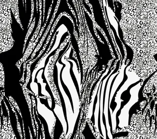 斑马纹图片