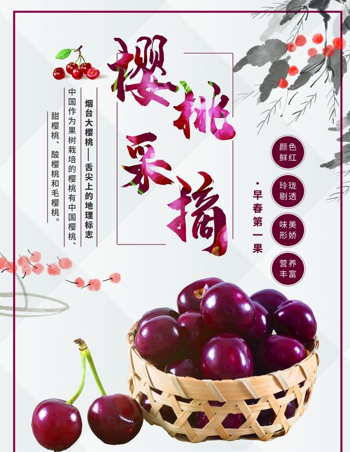 樱桃图片(3543x4725)psd模版下载