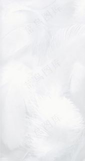 白色羽毛底纹背景图片