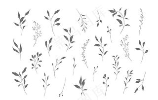 手绘线性枝叶图片