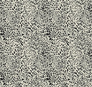 豹纹图片