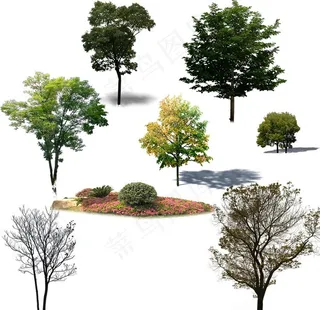 树木素材图片