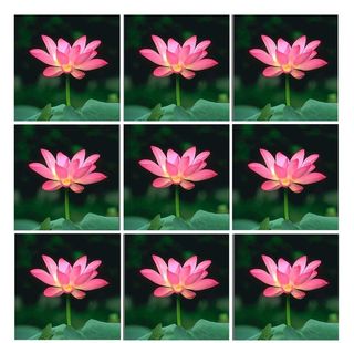 九宫格模板图片