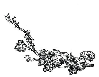 手绘葡萄腾图片