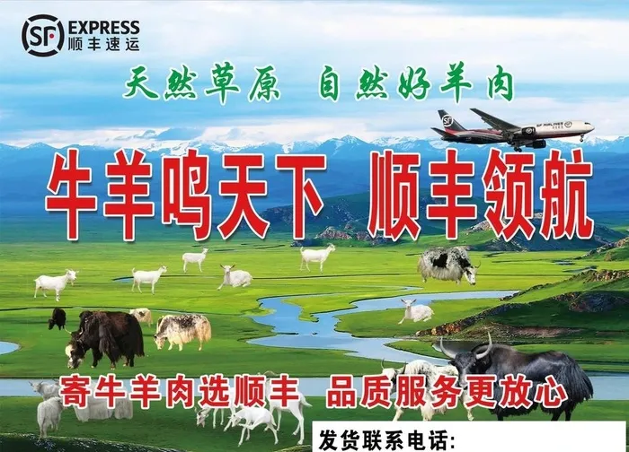 顺丰快递图片(4726x3542)psd模版下载