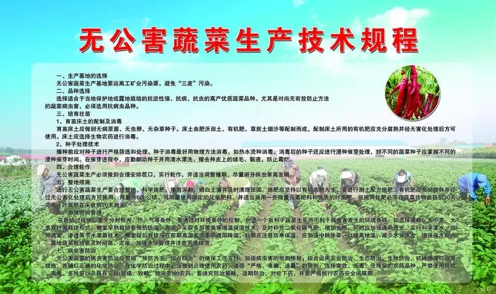 辣椒推广项目图片(7874x4921)