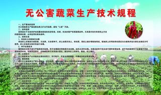 辣椒推广项目图片