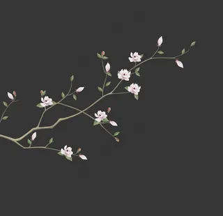 新中式玉兰花图片