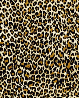 豹纹图片 豹纹图片