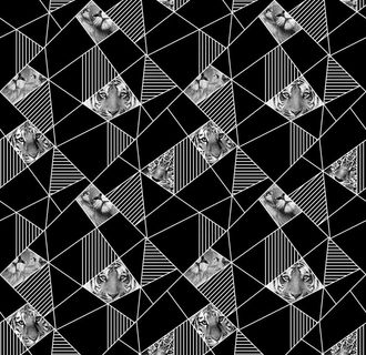 几何  动物  狮子  老虎图片