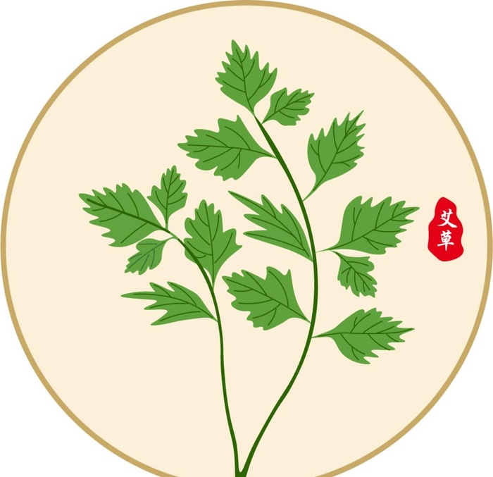 艾草图图片