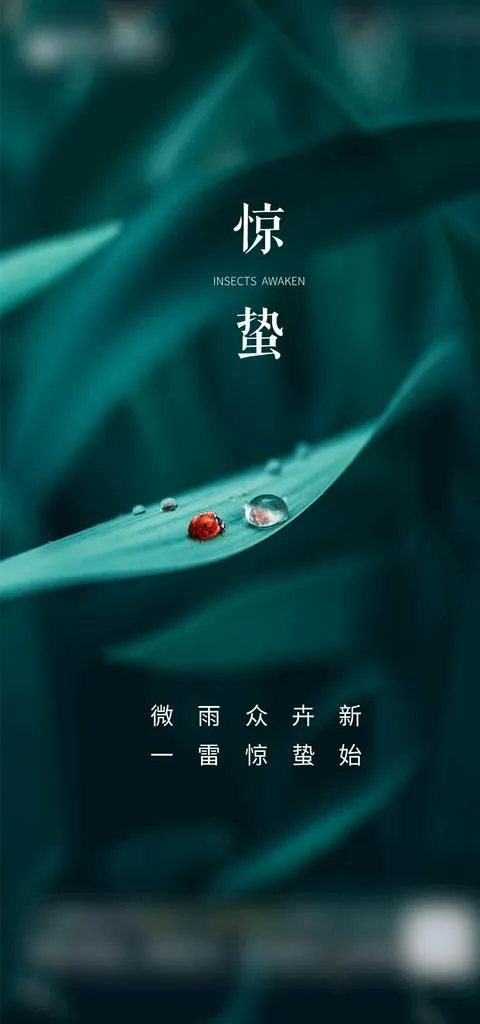 地产惊蛰节气单图图片(1080x2160)psd模版下载