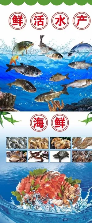 鲜活水产展架图片