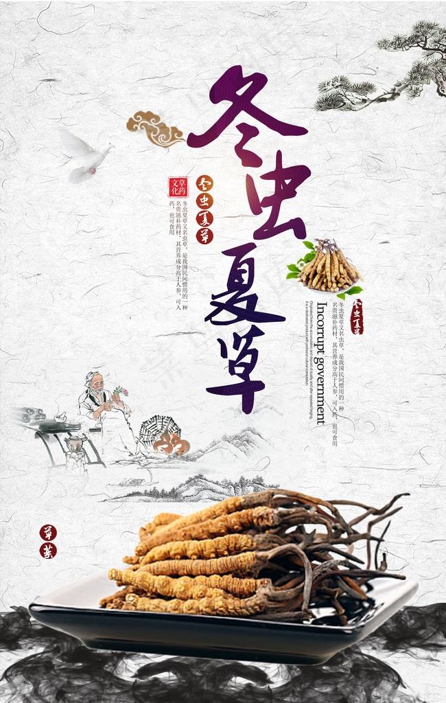 冬虫夏草海报图片(3543X5316(DPI:150))psd模版下载
