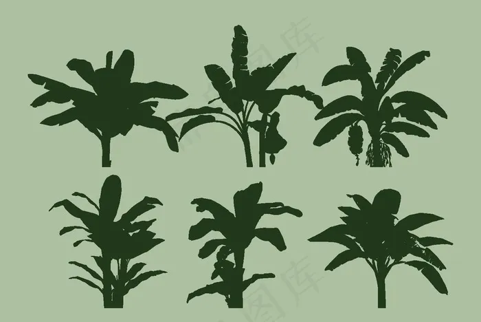 芭蕉树矢量图图片ai矢量模版下载