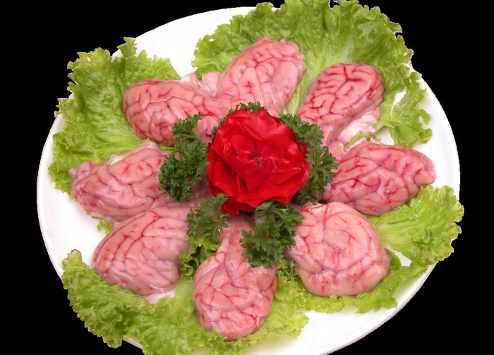 羊脑图片