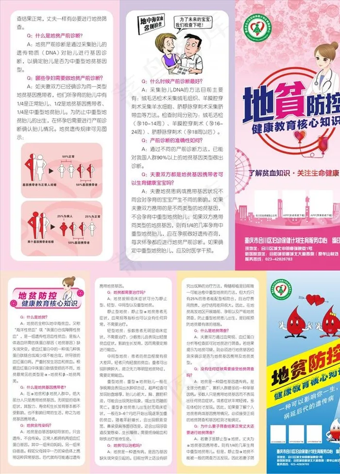 地中海贫血三折页图片