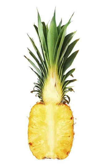 菠萝图片