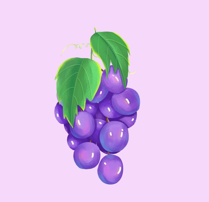 葡萄图片(1200x1200)psd模版下载