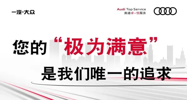 奥迪满意贴图片