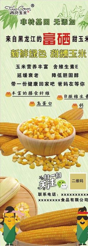 玉米海报图片