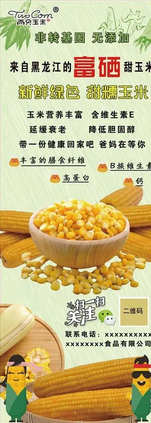 玉米海报图片