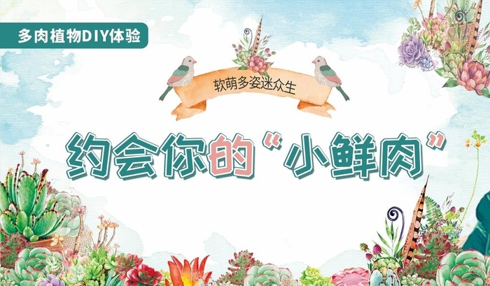 春天多肉DIY图片cdr矢量模版下载