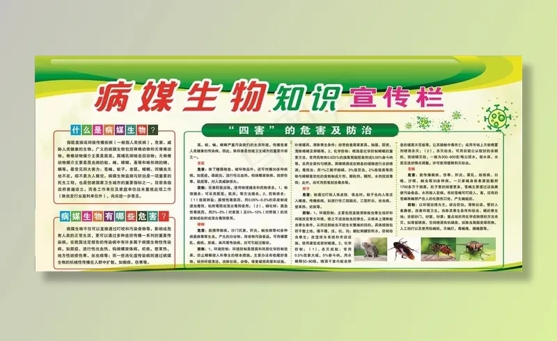 病媒知识  健康教育图片cdr矢量模版下载