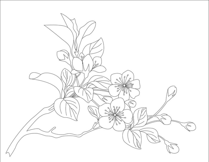 花 枝条  线条  线稿 白描图片cdr矢量模版下载