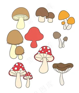 蘑菇图片