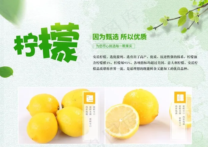 柠檬图片psd模版下载
