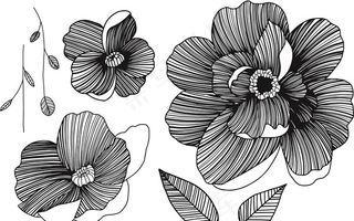 花朵花卉展板海报设计素材图片