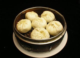 梅菜菜鸟图库片