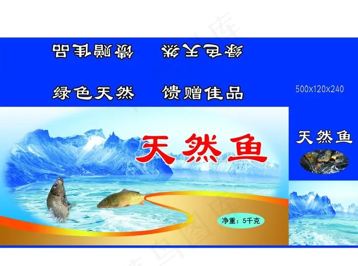 天然鱼图片psd模版下载