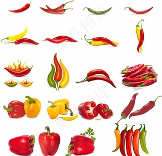 各种矢量辣椒图片