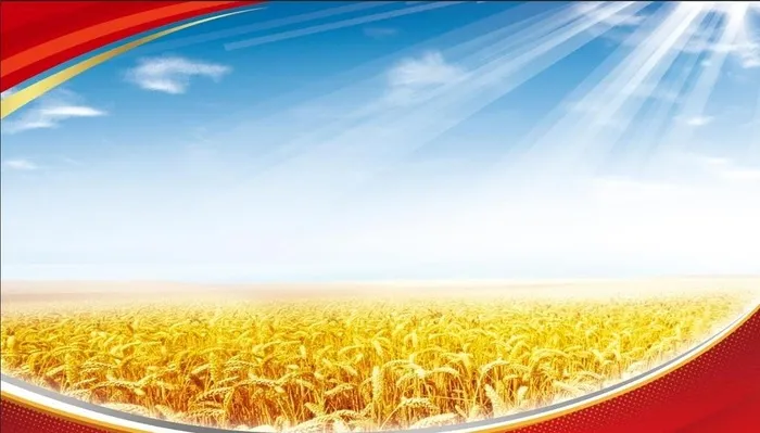 麦穗精酿背景图图片(7874x4724)psd模版下载