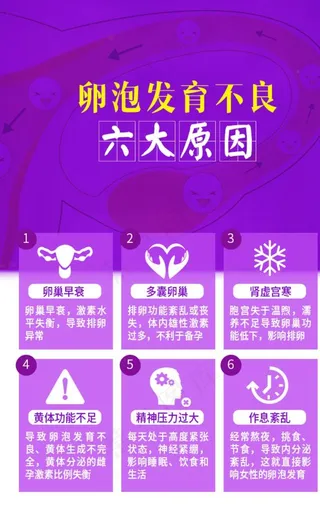 卵泡发育不良6大原因图片