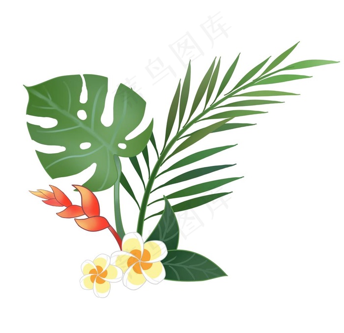 热带树叶图片