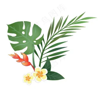 热带树叶图片