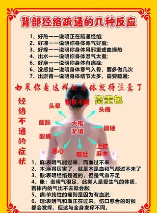 背部经络养生海报图片