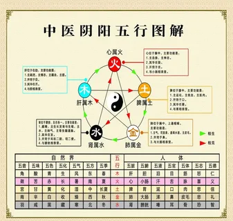 中医阴阳五行图解图片