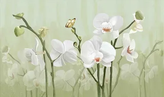 珠宝背景墙图片