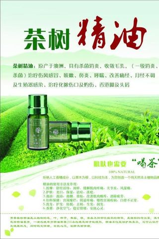 茶树精油护肤品宣传海报图片