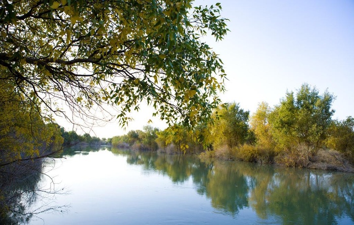 塔里木河风景图片