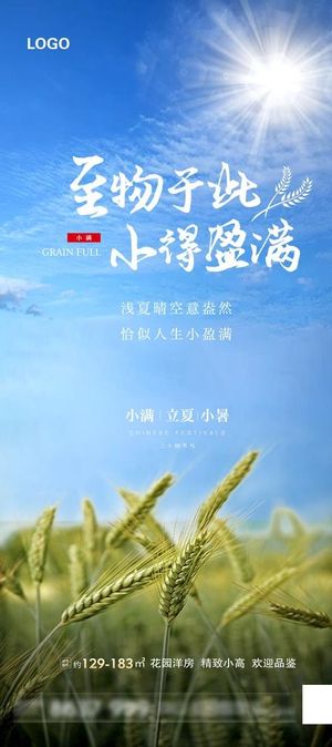 地产小满海报图片