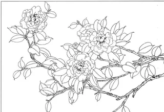 绘画线稿图图片