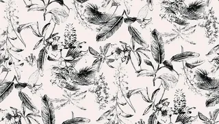 叶子数码印花图片